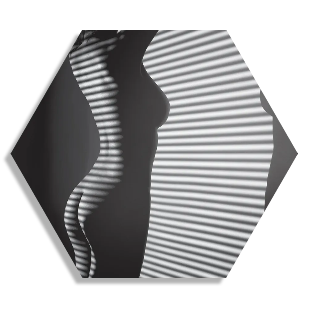Schilderij Blote Vrouw Achter Jaloezie 01 Hexagon Template Hexagon1 Mensen 32 1