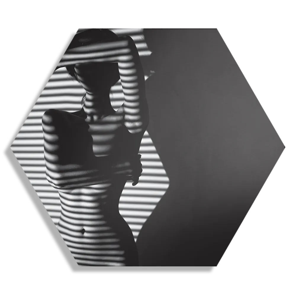Schilderij Blote Vrouw Achter Jaloezie 02 Hexagon Template Hexagon1 Mensen 33 1