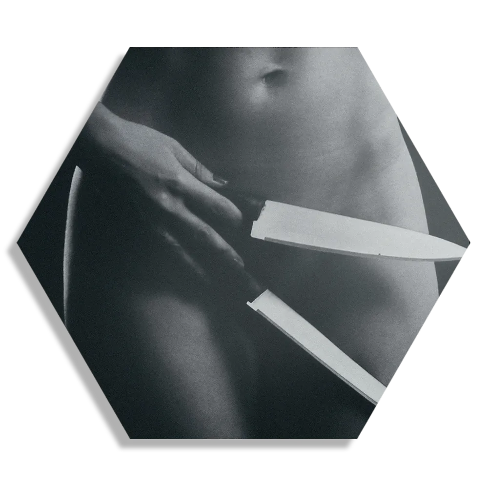 Template_Hexagon1_Mensen_4-1 Schilderij Vrouwlijke Messentrekker Hexagon Template Hexagon1 Mensen 4 1