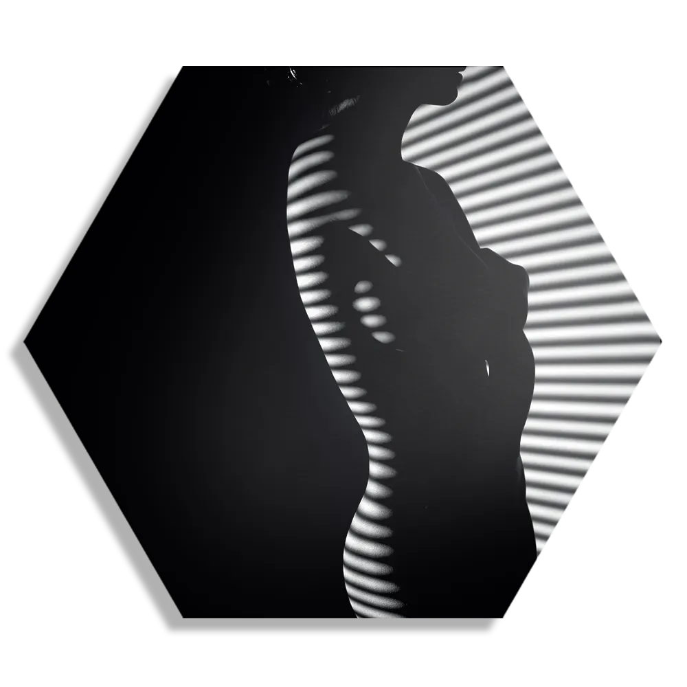 Template_Hexagon1_Mensen_40-1 Schilderij Blote Vrouw Achter Jaloezie 03 Hexagon Template Hexagon1 Mensen 40 1