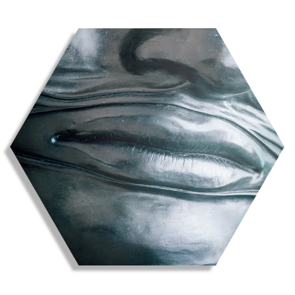 Schilderij Het Zilvere Hoofd Hexagon Template Hexagon1 Mensen 8 1