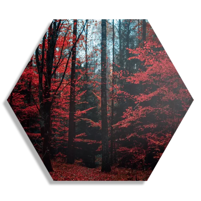 Schilderij Het rode bos Hexagon Template Hexagon1 Natuur 12 1