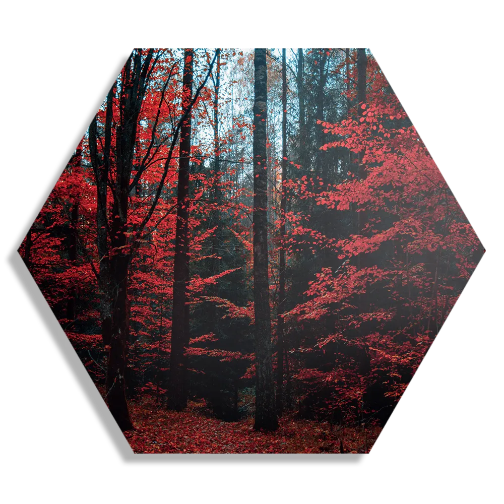 Schilderij Het rode bos Hexagon Template Hexagon1 Natuur 12 1