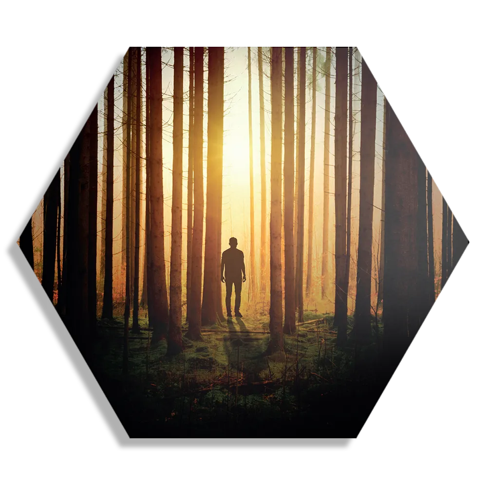 Schilderij De bomen door het bos Hexagon Template Hexagon1 Natuur 19 1