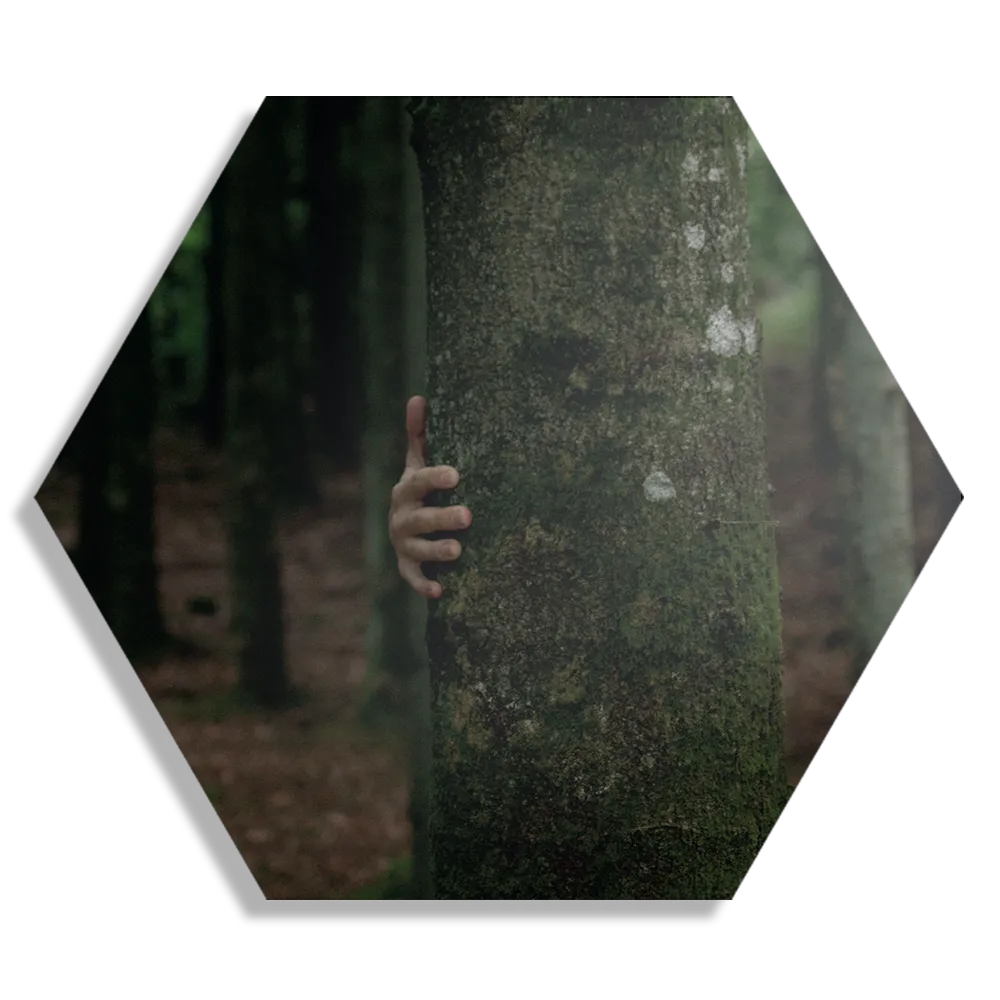 Schilderij Natuurlijke spellen Hexagon Template Hexagon1 Natuur 20 1