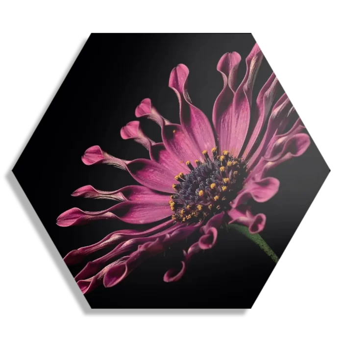 Schilderij Aster Bloem Hexagon Template Hexagon1 Natuur 22 1