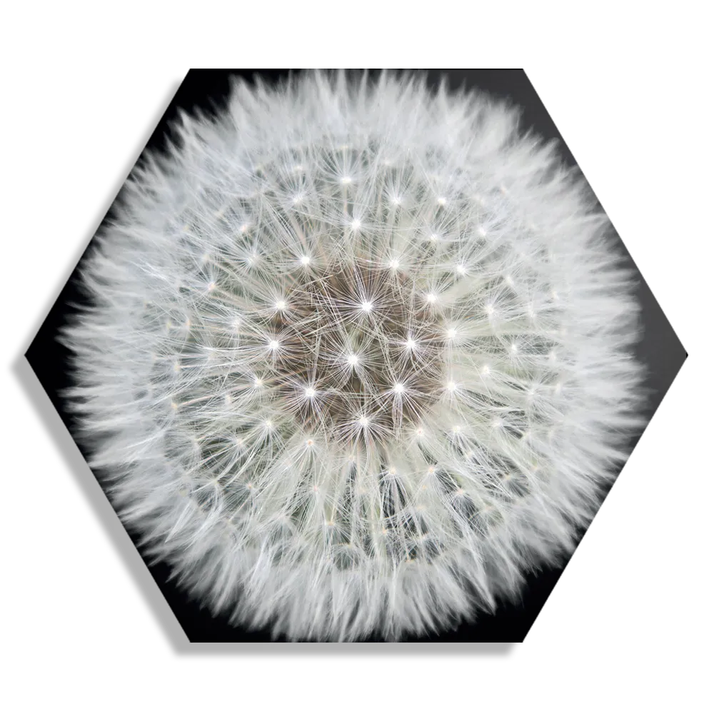 Schilderij Pluis van paardenbloem Hexagon Template Hexagon1 Natuur 35 1