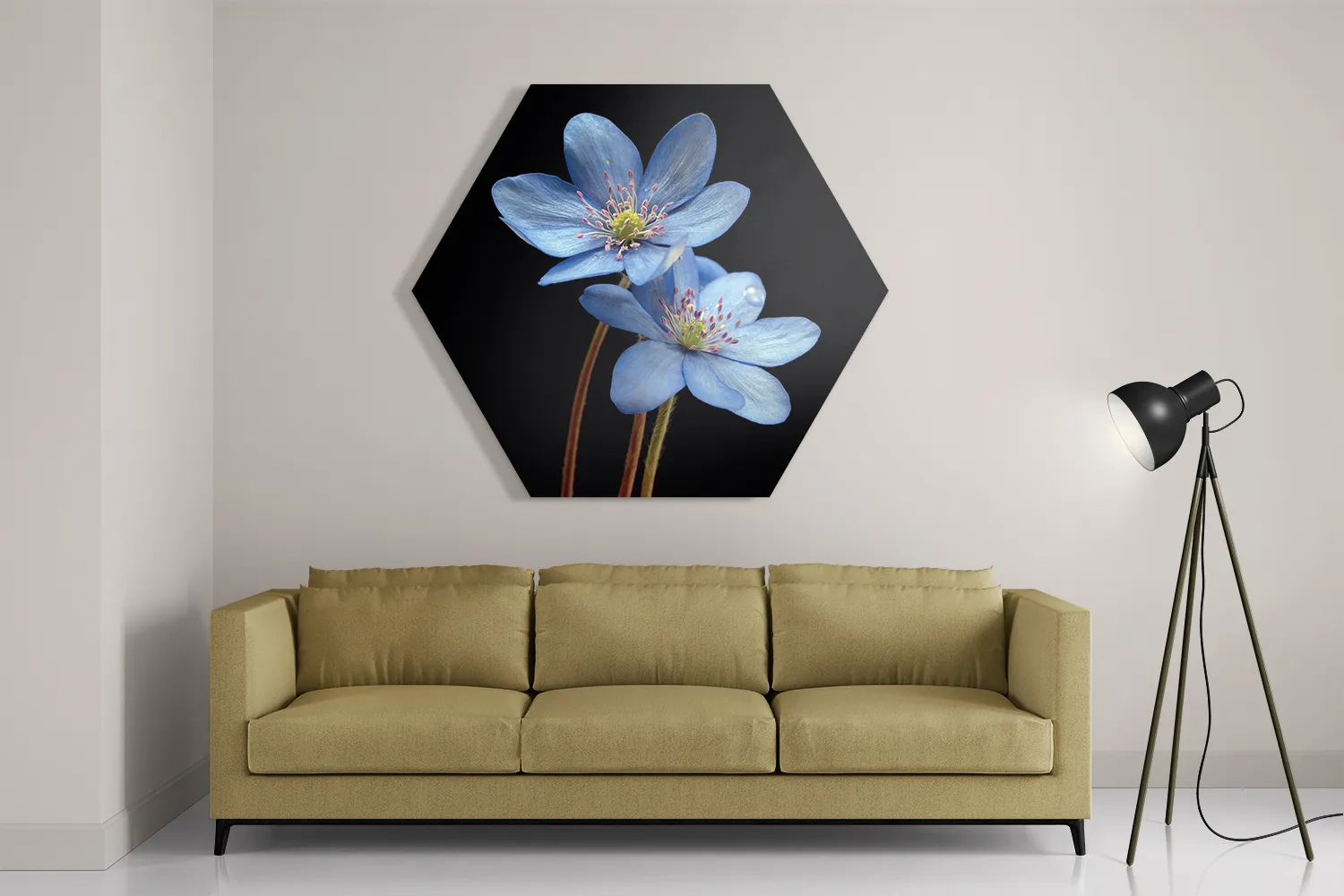 Schilderij Maagdenpalm Hexagon Template Hexagon1 Natuur 36 2