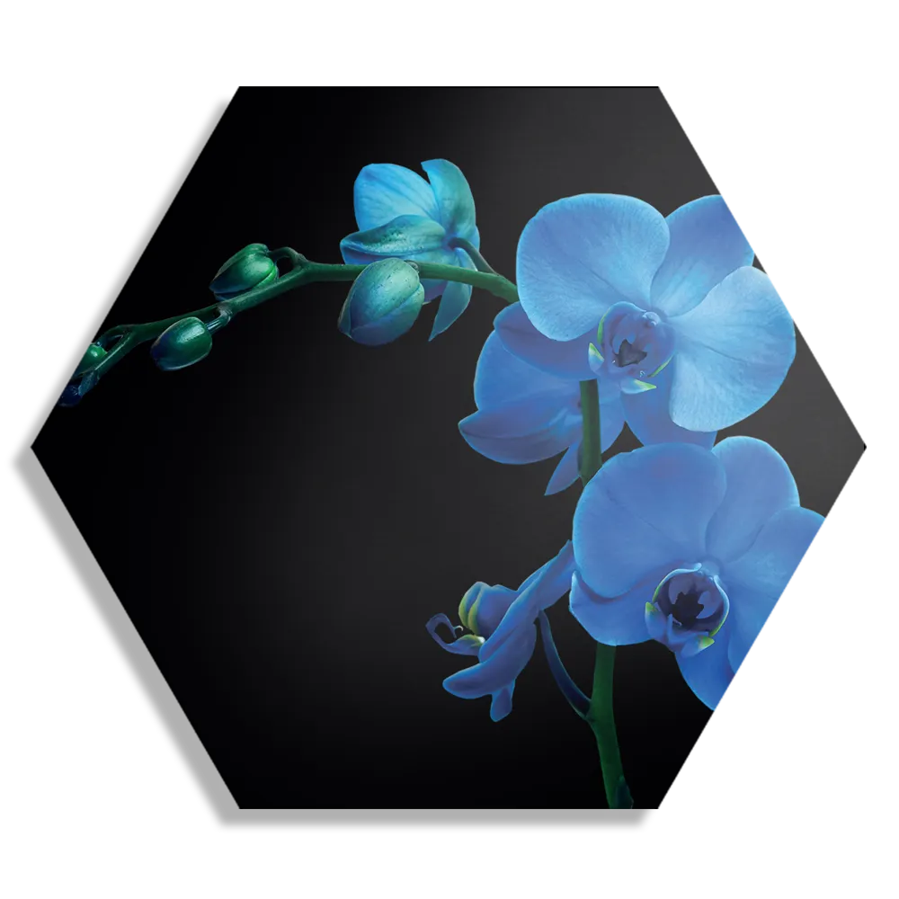 Schilderij Orchidee Hexagon Template Hexagon1 Natuur 39 1