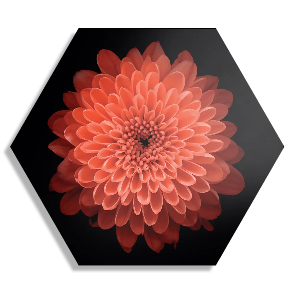 Schilderij Oranje Dahlia Hexagon Template Hexagon1 Natuur 53 1