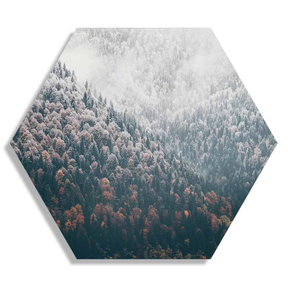 Template_Hexagon1_Natuur_59-1 Schilderij Van herfst naar winter Hexagon Template Hexagon1 Natuur 59 1