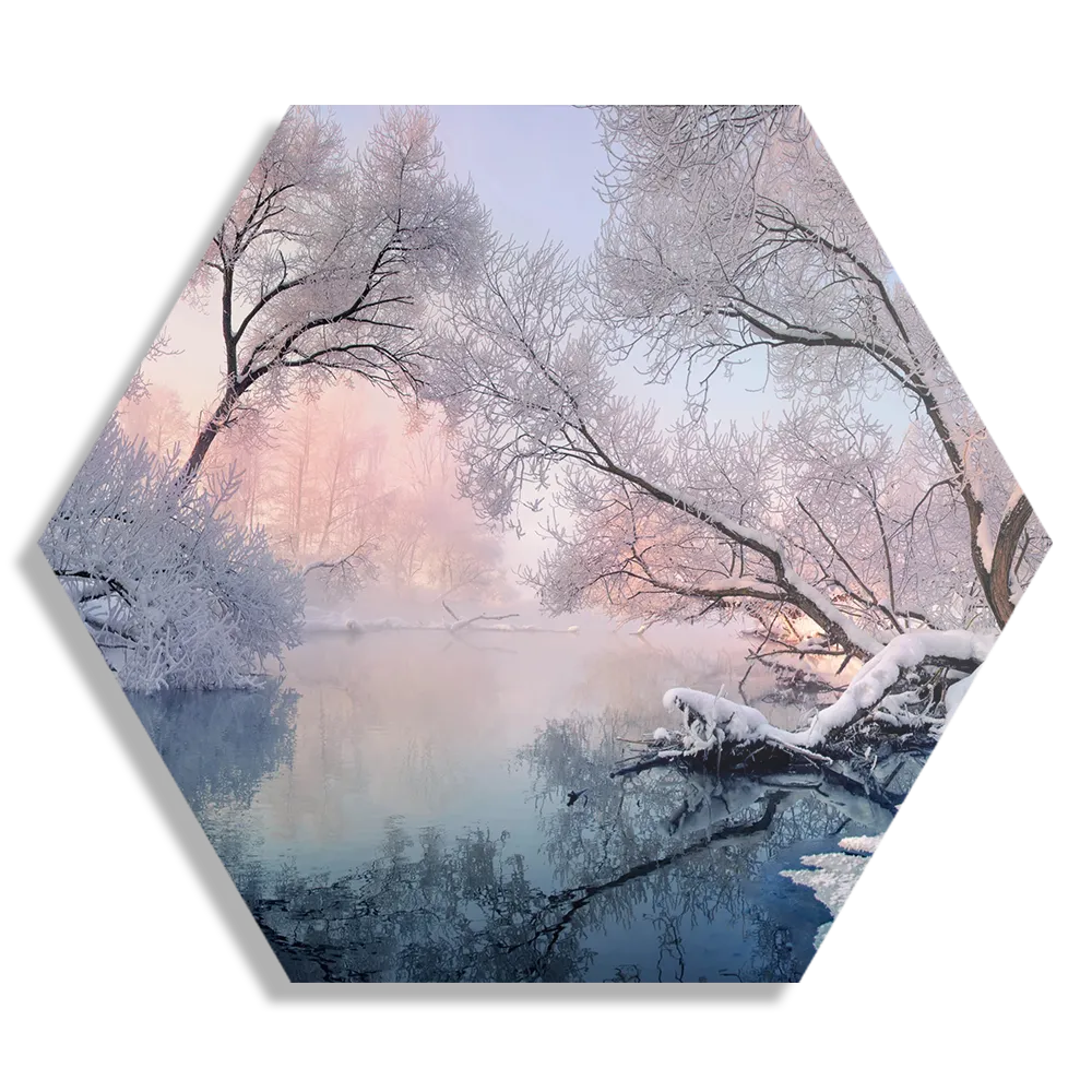 Schilderij Winter is coming Hexagon Template Hexagon1 Natuur 62 1