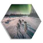 Schilderij Huskies door Lapland Hexagon Template Hexagon1 Natuur 66 1