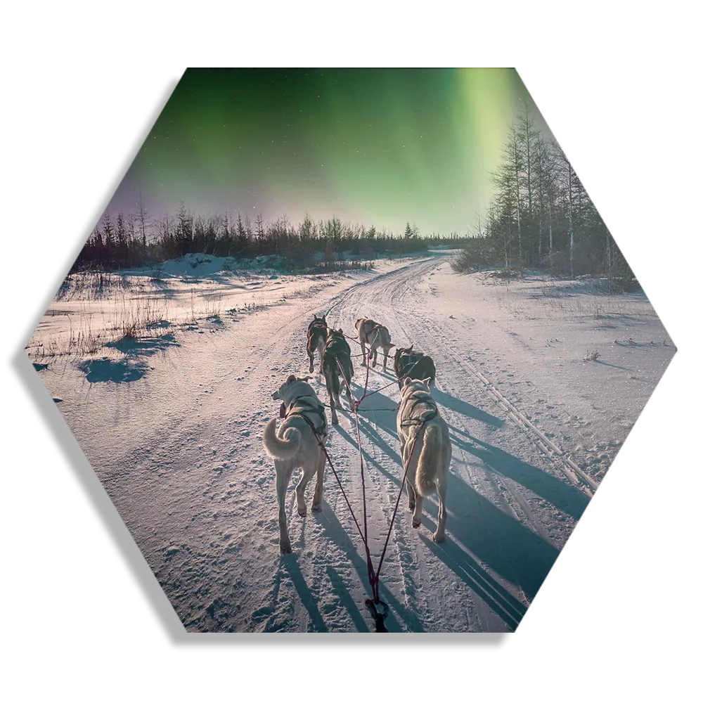 Schilderij Huskies door Lapland Hexagon Template Hexagon1 Natuur 66 1