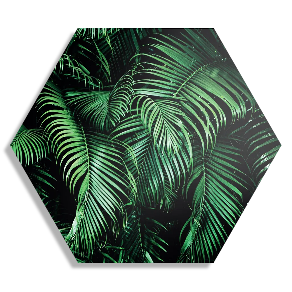 Schilderij Groen blad Hexagon Template Hexagon1 Natuur 68 1