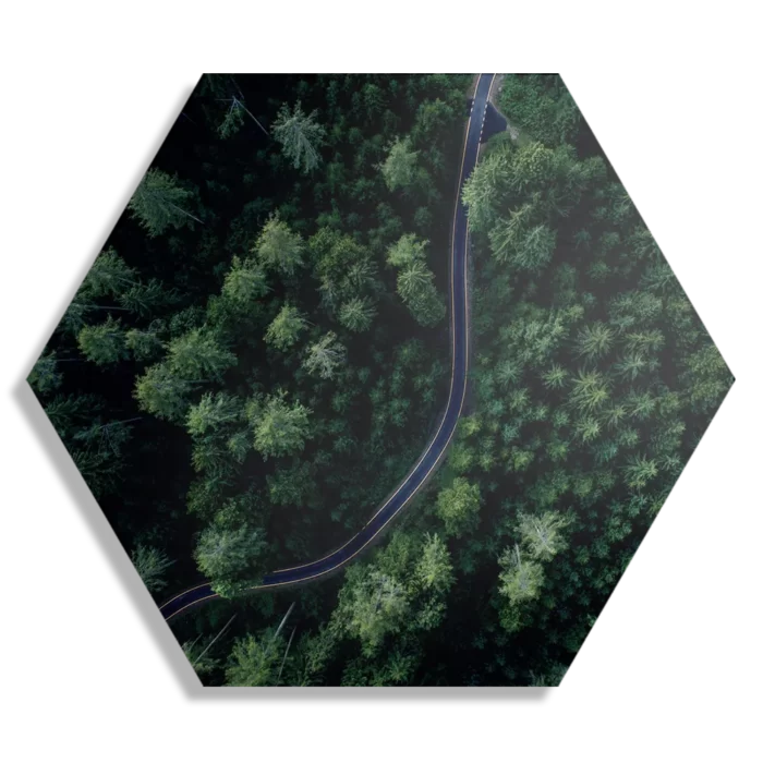 Schilderij Weg door het bos Hexagon Template Hexagon1 Natuur 74 1