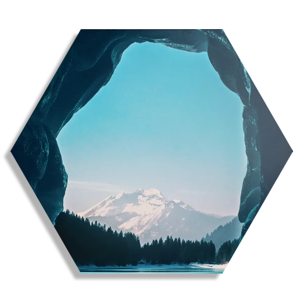 Schilderij Winter dreams Hexagon Template Hexagon1 Natuur 77 1