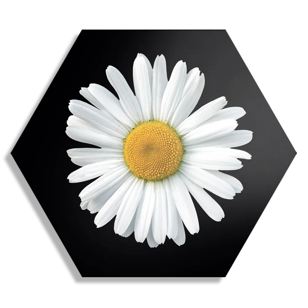 Schilderij Magriet Hexagon Template Hexagon1 Natuur 80 1