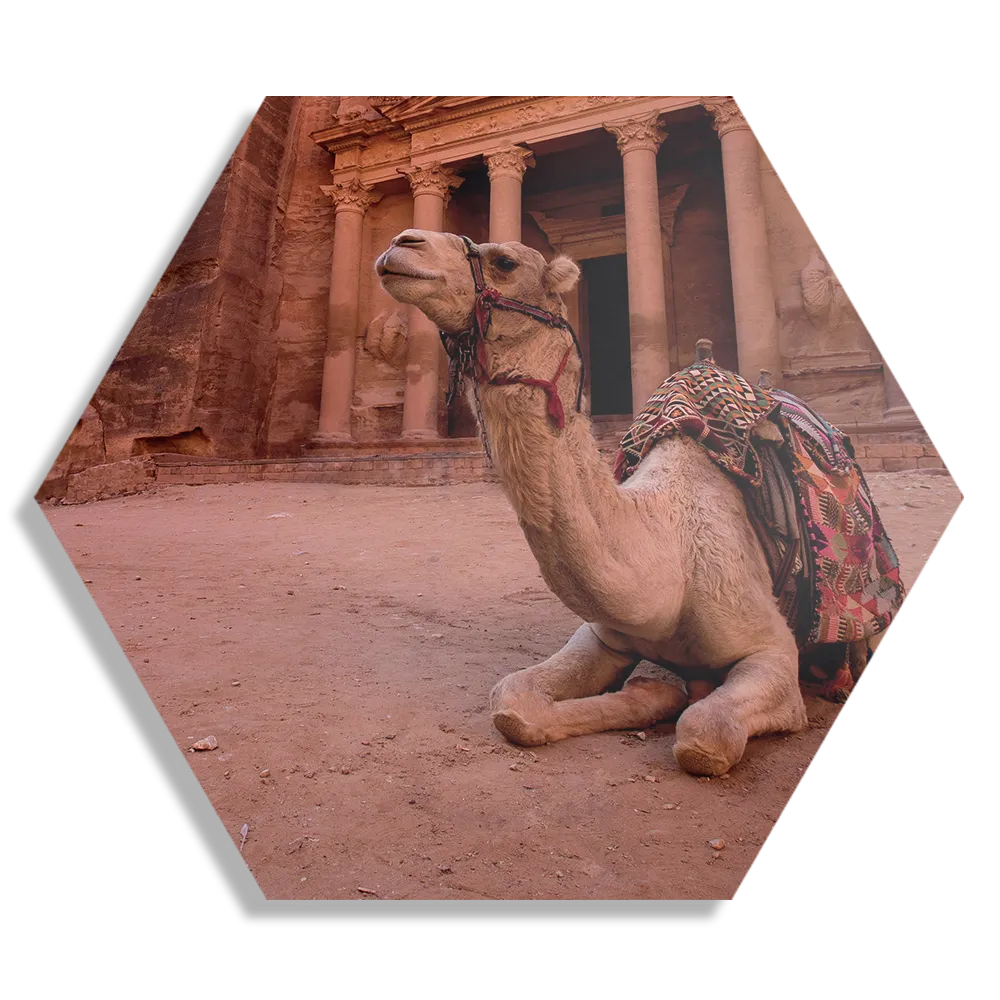 Schilderij Petra Hexagon Template Hexagon1 Natuur 82 1