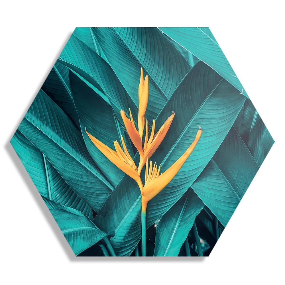 Schilderij Gele bloem in een blauw bladerdeken Hexagon Template Hexagon1 Natuur 91 1