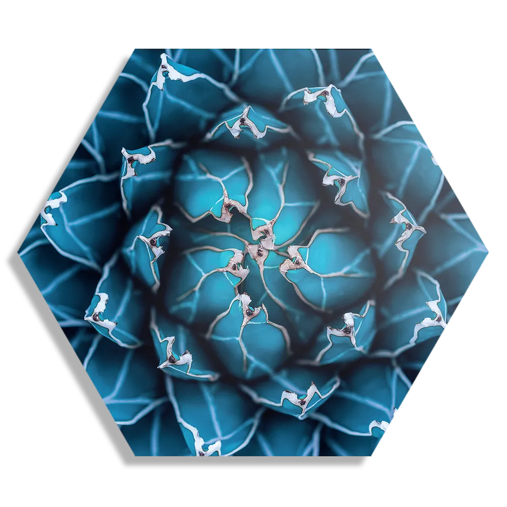 Schilderij Kleurrijke bloem 1 Hexagon Template Hexagon1 Natuur 92 1