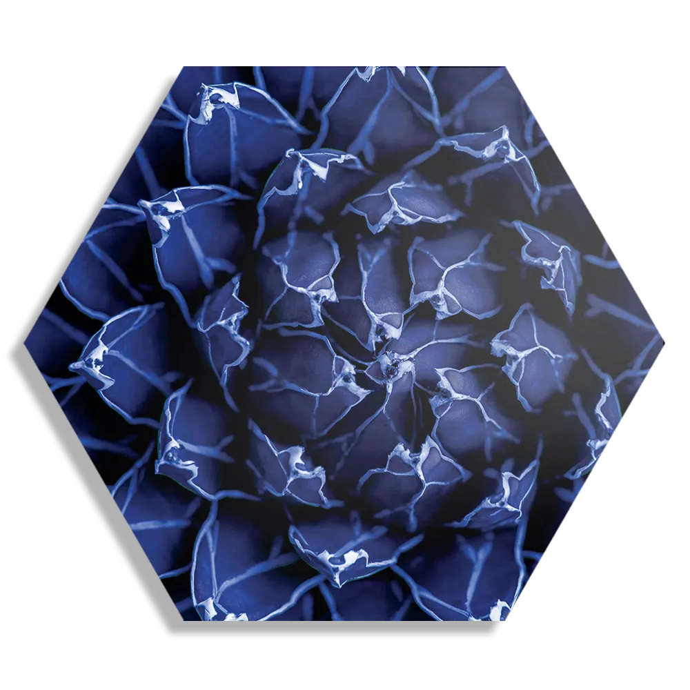 Schilderij Kleurrijke bloem 2 Hexagon Template Hexagon1 Natuur 93 1