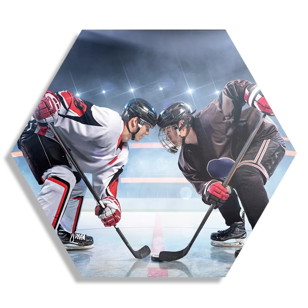 Schilderij Ijshockey Battle Hexagon Template Hexagon1 Sport 13 1