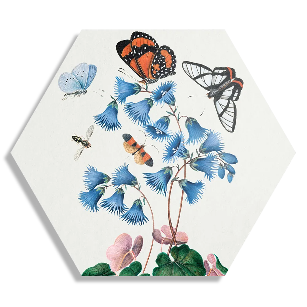 Schilderij Prent Natuur Vogel en Bloemen 04 Hexagon Template Hexagon1 Vintage 4 1