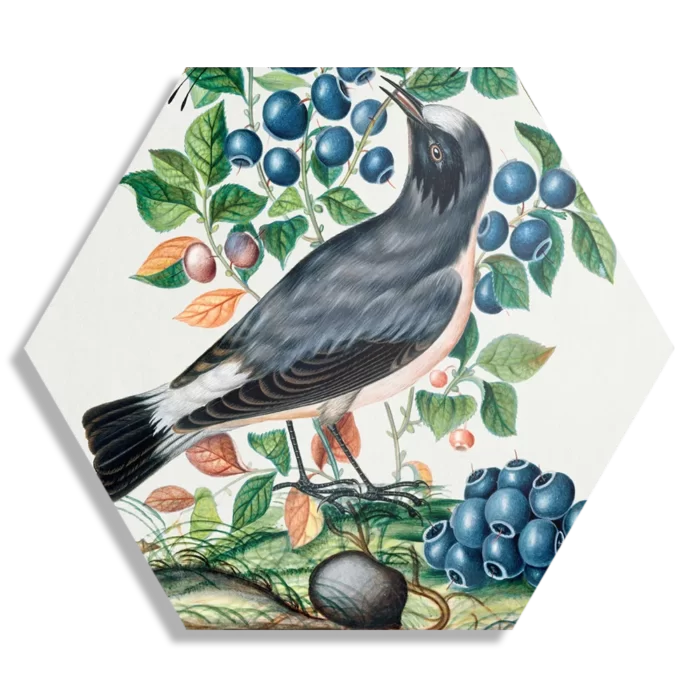 Schilderij Prent Natuur Vogel en Bloemen 06 Hexagon Template Hexagon1 Vintage 6 1