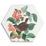 Schilderij Prent Natuur Vogel en Bloemen 08 Hexagon Template Hexagon1 Vintage 8 1