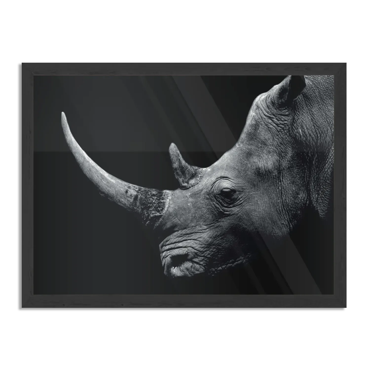 Poster Neushoorn Zwart Wit Rechthoek Horizontaal Met Lijst Template PBF 50 70 Horizontaal Dieren 1 1