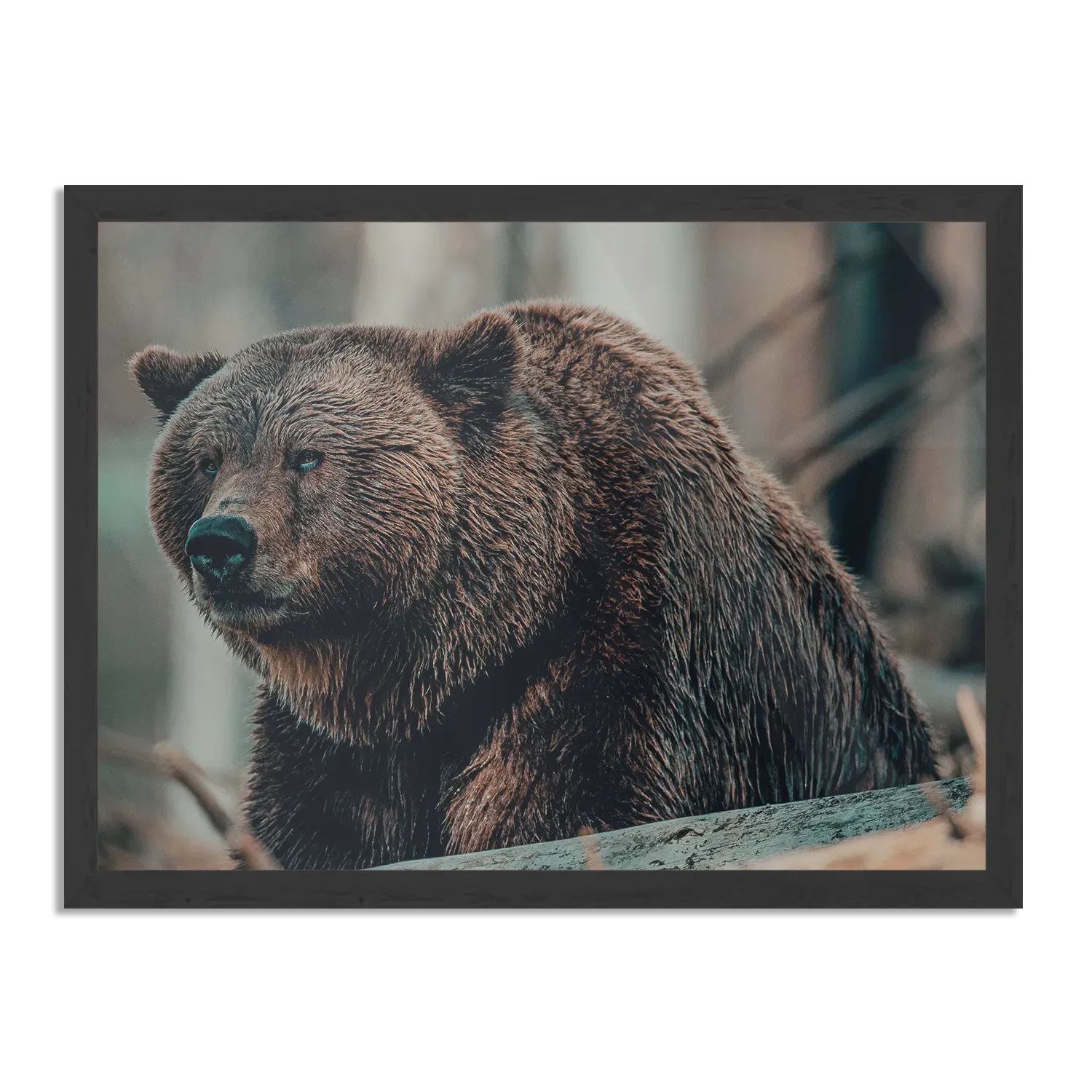 Poster Beer In Het Bos Rechthoek Horizontaal Met Lijst Template PBF 50 70 Horizontaal Dieren 11 1