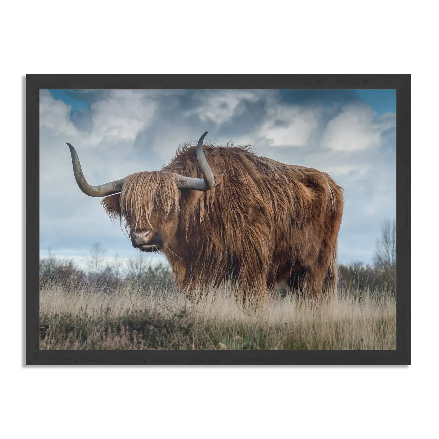 Poster Bizon Rechthoek Horizontaal Met Lijst Template PBF 50 70 Horizontaal Dieren 18 1