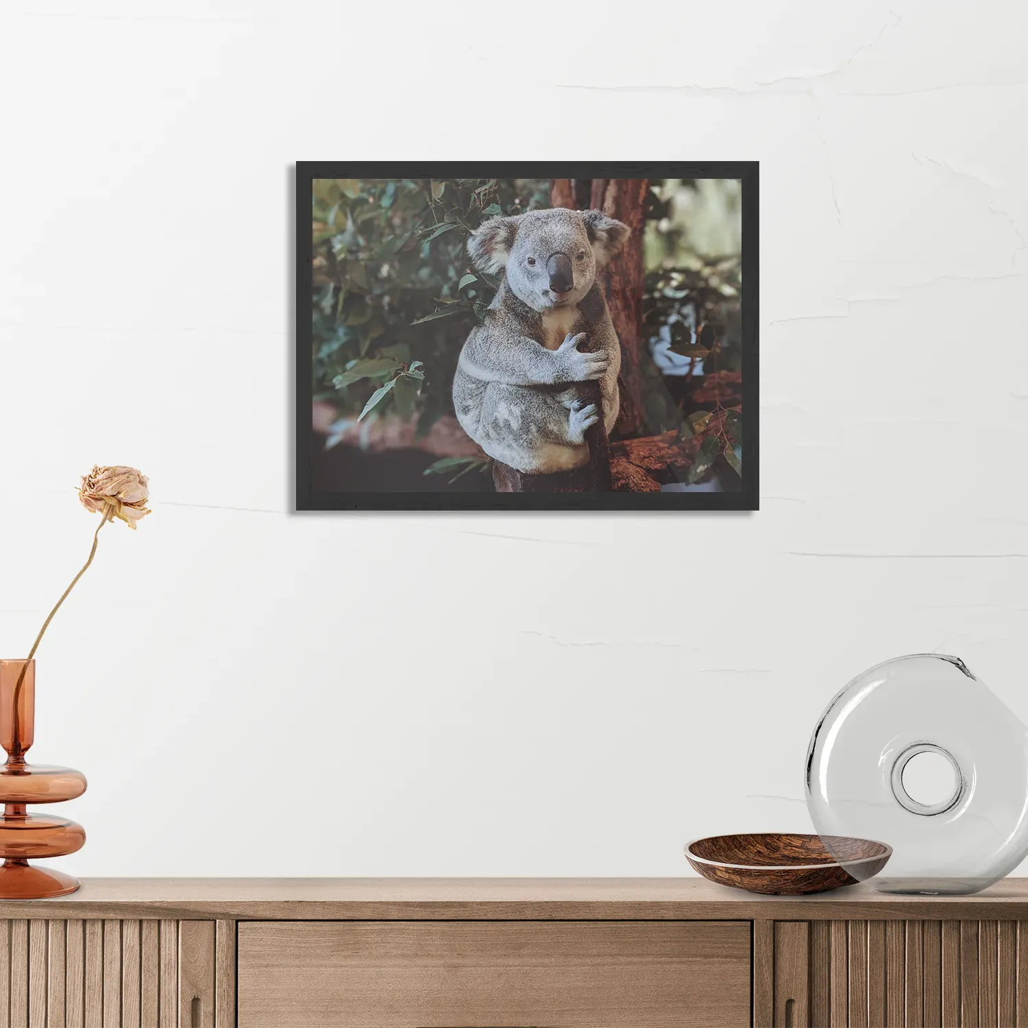 Poster De Vastgelamde Koala Rechthoek Horizontaal Met Lijst Template PBF 50 70 Horizontaal Dieren 23 3