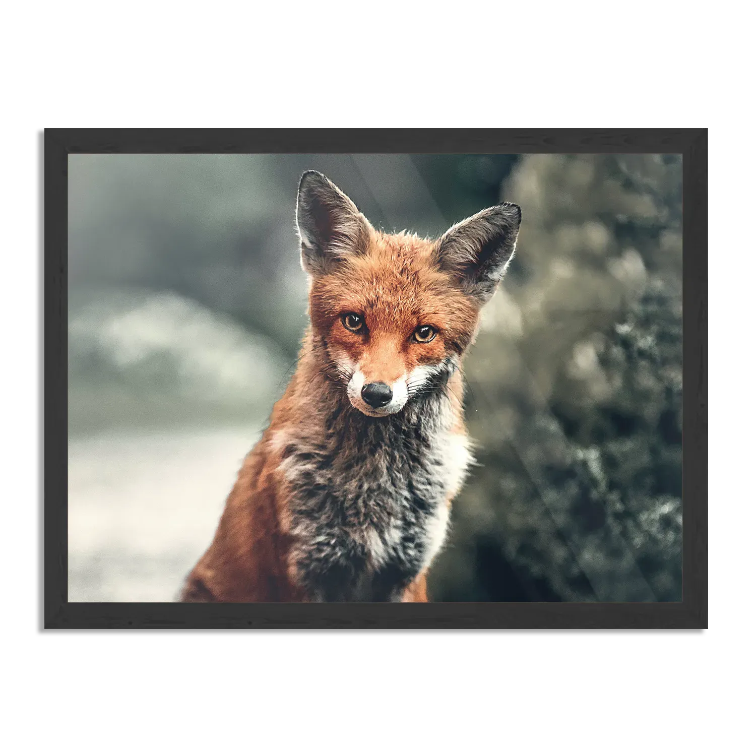 Poster Vosje In De Natuur Rechthoek Horizontaal Met Lijst Template PBF 50 70 Horizontaal Dieren 4 1