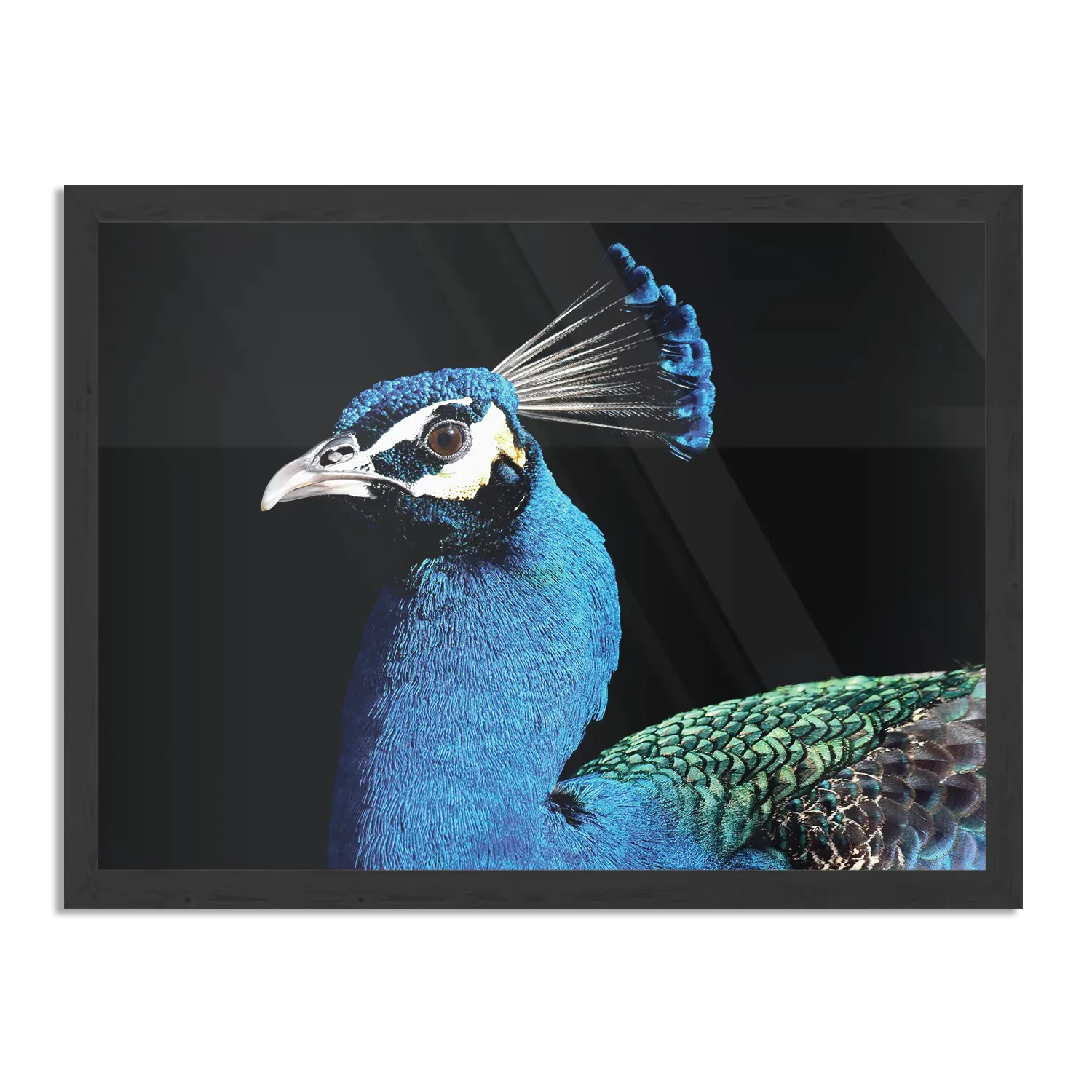 Template_PBF_50-70_Horizontaal_Dieren_48-1 Poster De Pauw Rechthoek Horizontaal Met Lijst Template PBF 50 70 Horizontaal Dieren 48 1