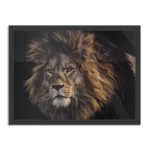 Poster The Lion Rechthoek Horizontaal Met Lijst Template PBF 50 70 Horizontaal Dieren 5 1