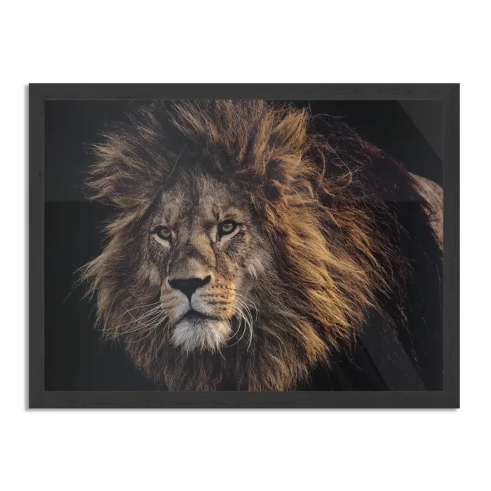 Poster The Lion Rechthoek Horizontaal Met Lijst Template PBF 50 70 Horizontaal Dieren 5 1