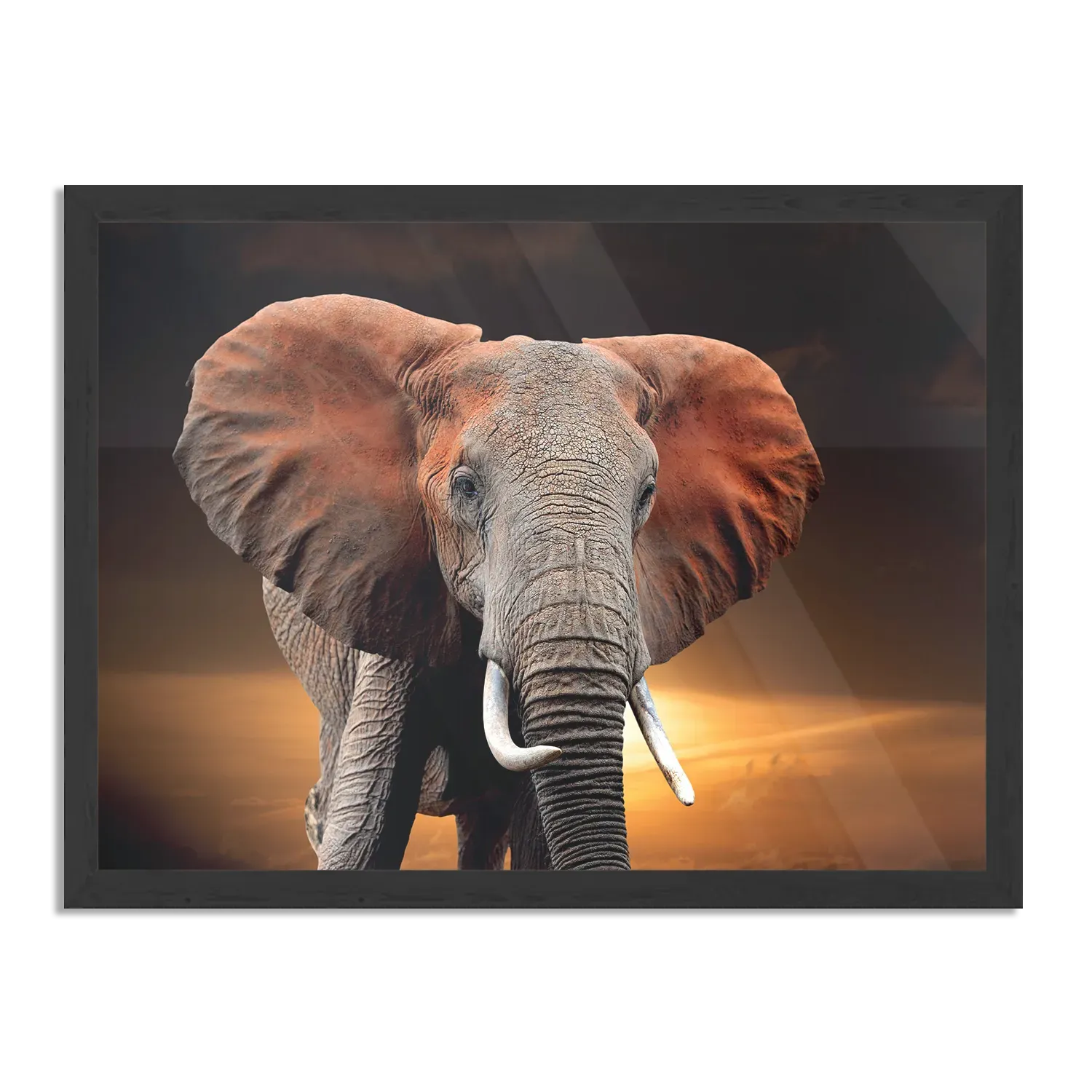 Poster Olifant met Zonsondergang Rechthoek Horizontaal Met Lijst Template PBF 50 70 Horizontaal Dieren 53 1