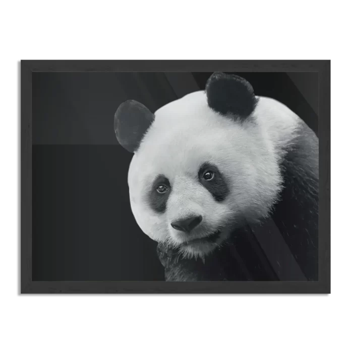 Poster Pandabeer Zwart Wit 02 Rechthoek Horizontaal Met Lijst Template PBF 50 70 Horizontaal Dieren 74 1