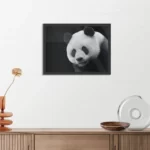 Poster Pandabeer Zwart Wit 02 Rechthoek Horizontaal Met Lijst Template PBF 50 70 Horizontaal Dieren 74 3