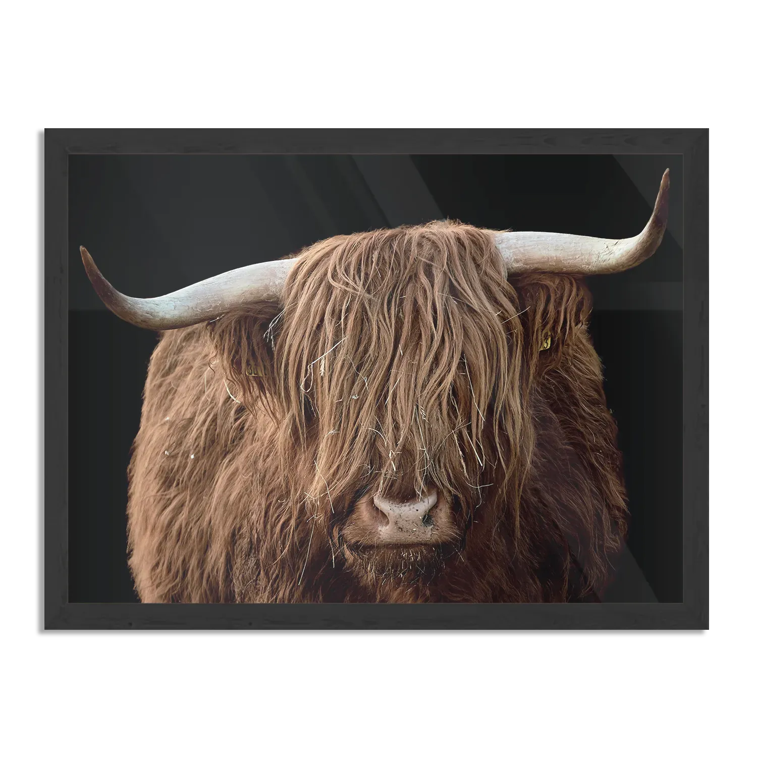 Poster De Blinde Bizon Rechthoek Horizontaal Met Lijst Template PBF 50 70 Horizontaal Dieren 81 1
