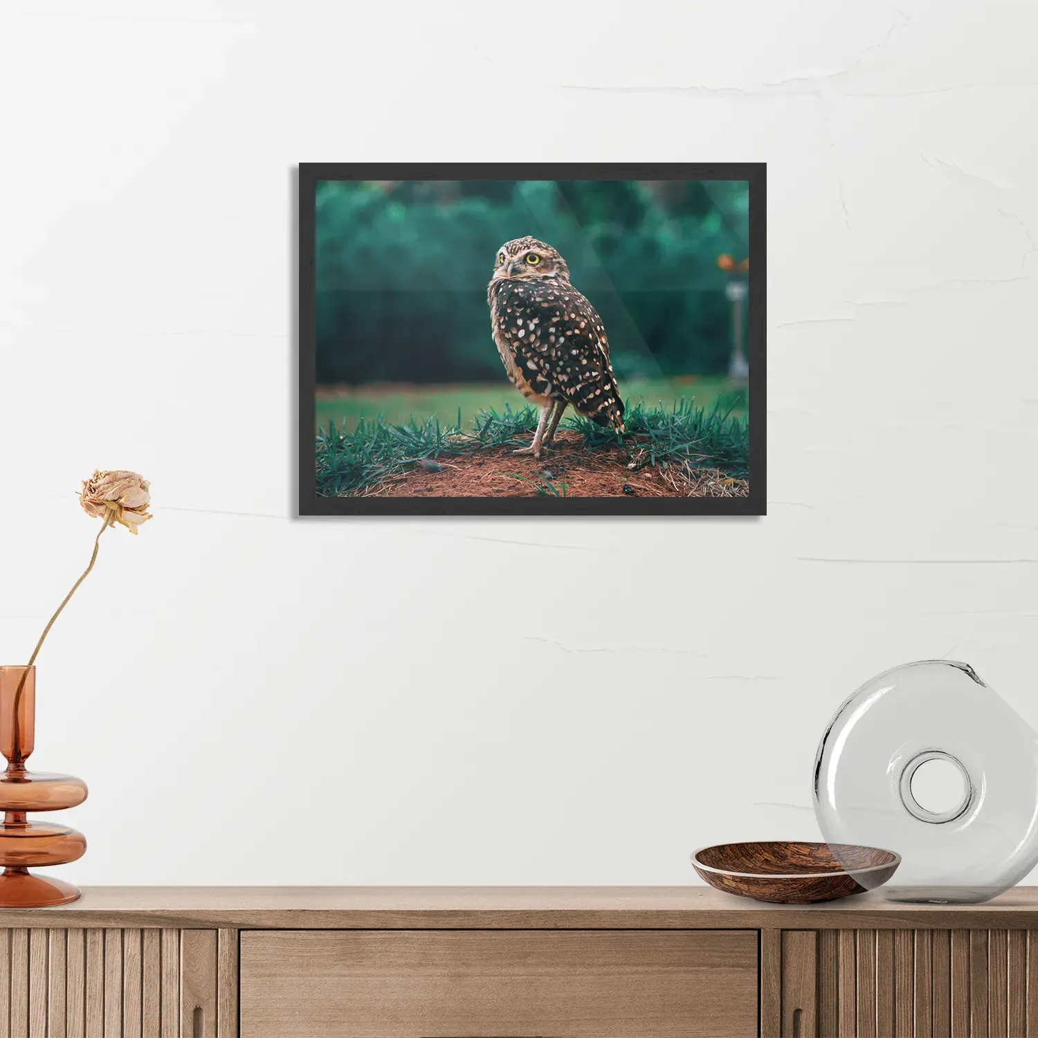 Poster Uil In De Natuur Rechthoek Horizontaal Met Lijst Template PBF 50 70 Horizontaal Dieren 9 3