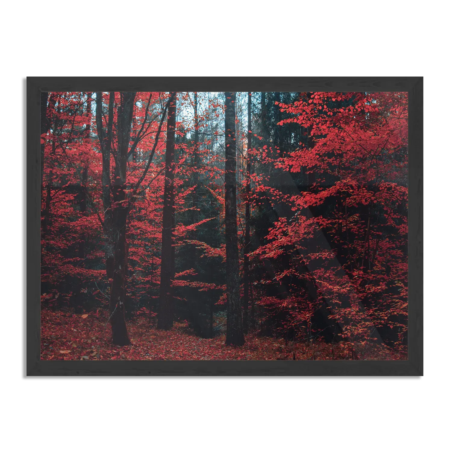 Poster Het rode bos Rechthoek Horizontaal Met Lijst Template PBF 50 70 Horizontaal Natuur 12 1