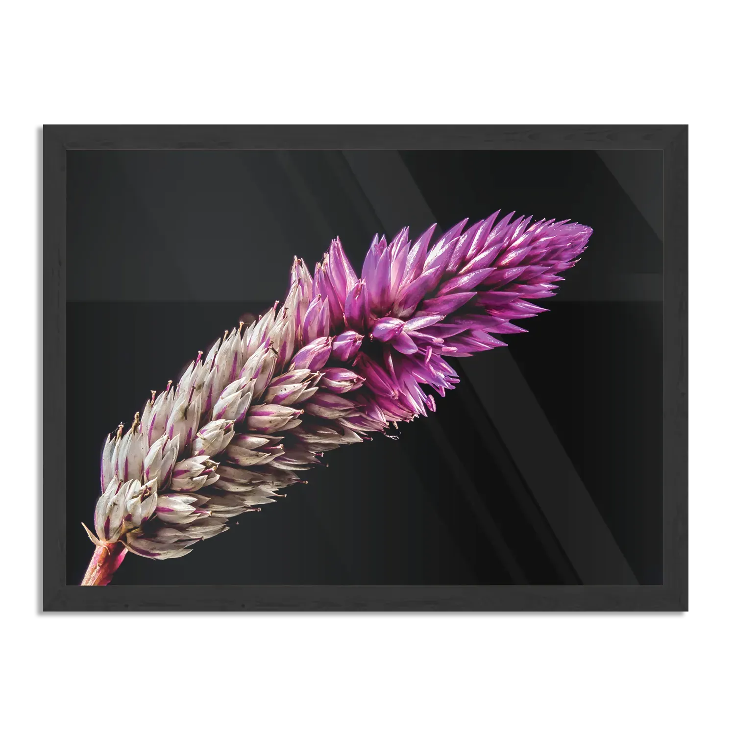 Template_PBF_50-70_Horizontaal_Natuur_24-1 Poster Heiden Bloem Rechthoek Horizontaal Met Lijst Template PBF 50 70 Horizontaal Natuur 24 1