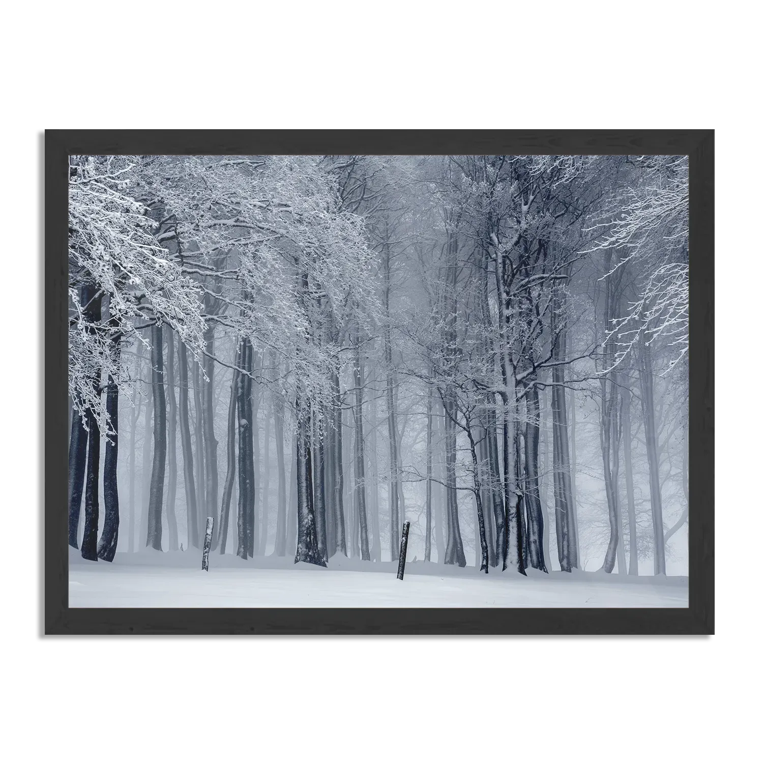 Template_PBF_50-70_Horizontaal_Natuur_27-1 Poster Het winterse bos Rechthoek Horizontaal Met Lijst Template PBF 50 70 Horizontaal Natuur 27 1