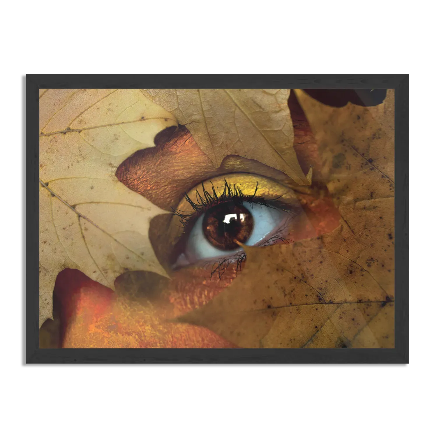 Poster Hefstblad Rechthoek Horizontaal Met Lijst Template PBF 50 70 Horizontaal Natuur 30 1
