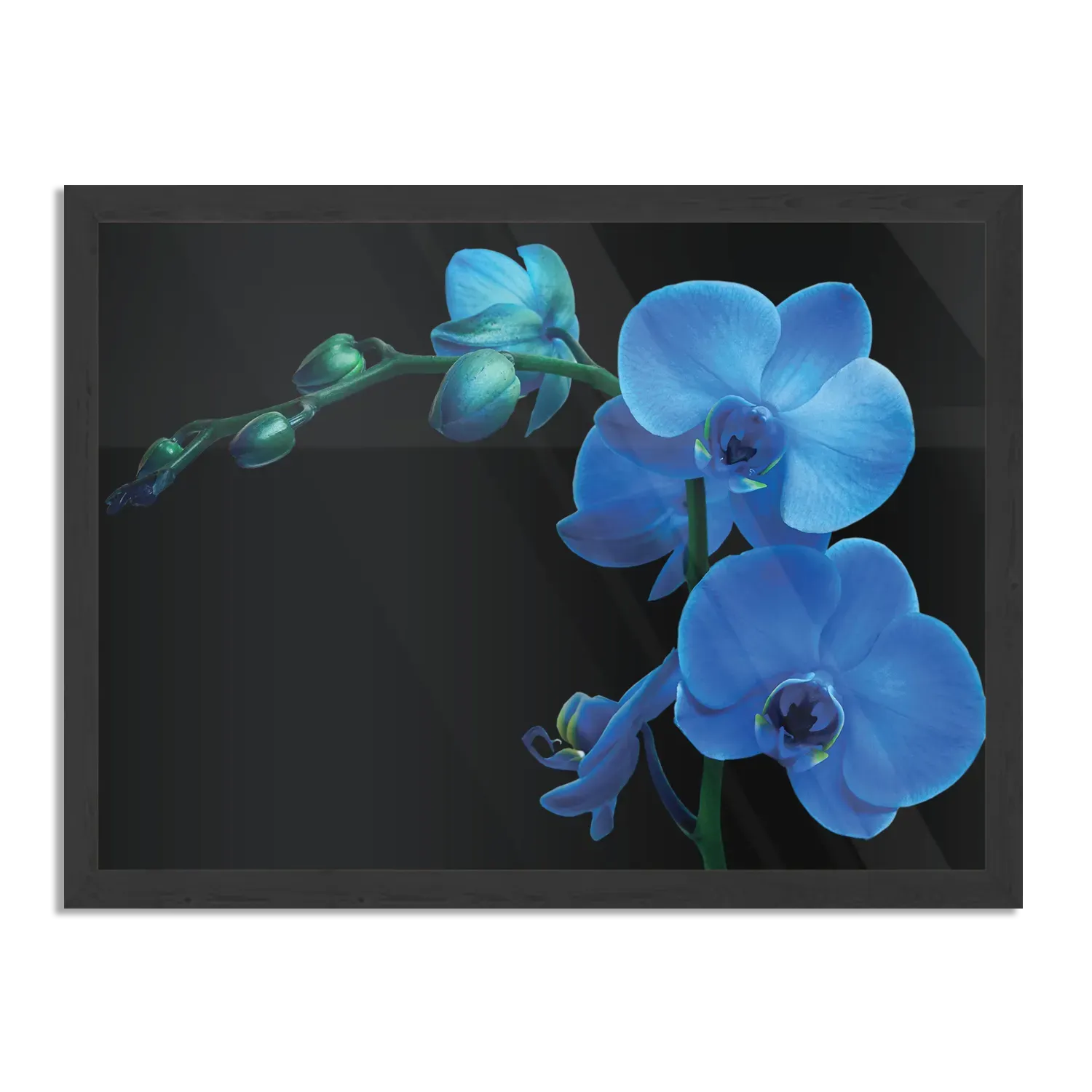 Poster Orchidee Rechthoek Horizontaal Met Lijst Template PBF 50 70 Horizontaal Natuur 39 1