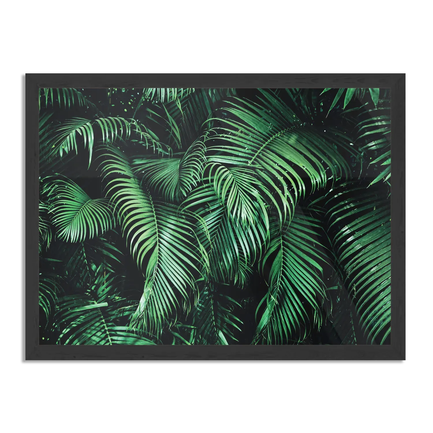 Template_PBF_50-70_Horizontaal_Natuur_68-1 Poster Groen blad Rechthoek Horizontaal Met Lijst Template PBF 50 70 Horizontaal Natuur 68 1