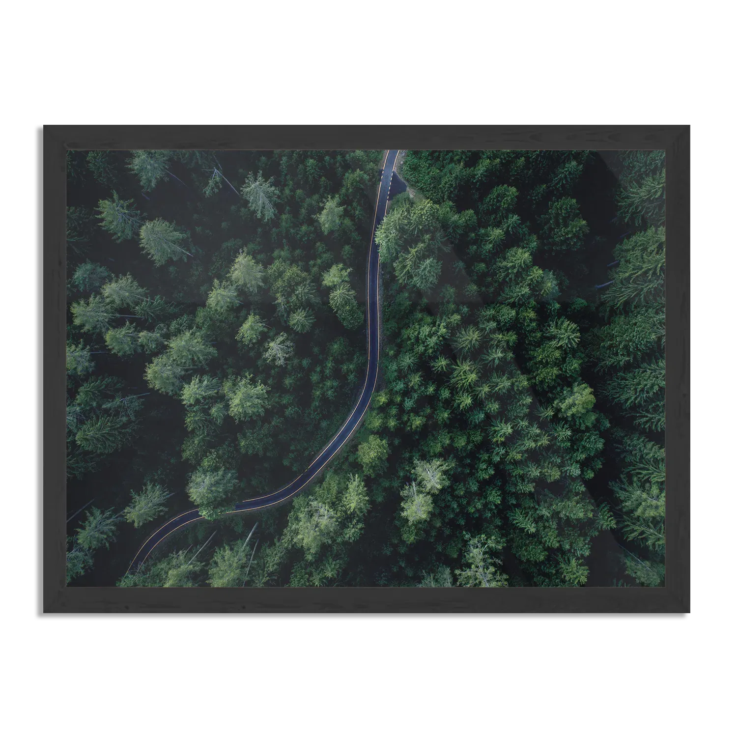 Poster Weg door het bos Rechthoek Horizontaal Met Lijst Template PBF 50 70 Horizontaal Natuur 74 1